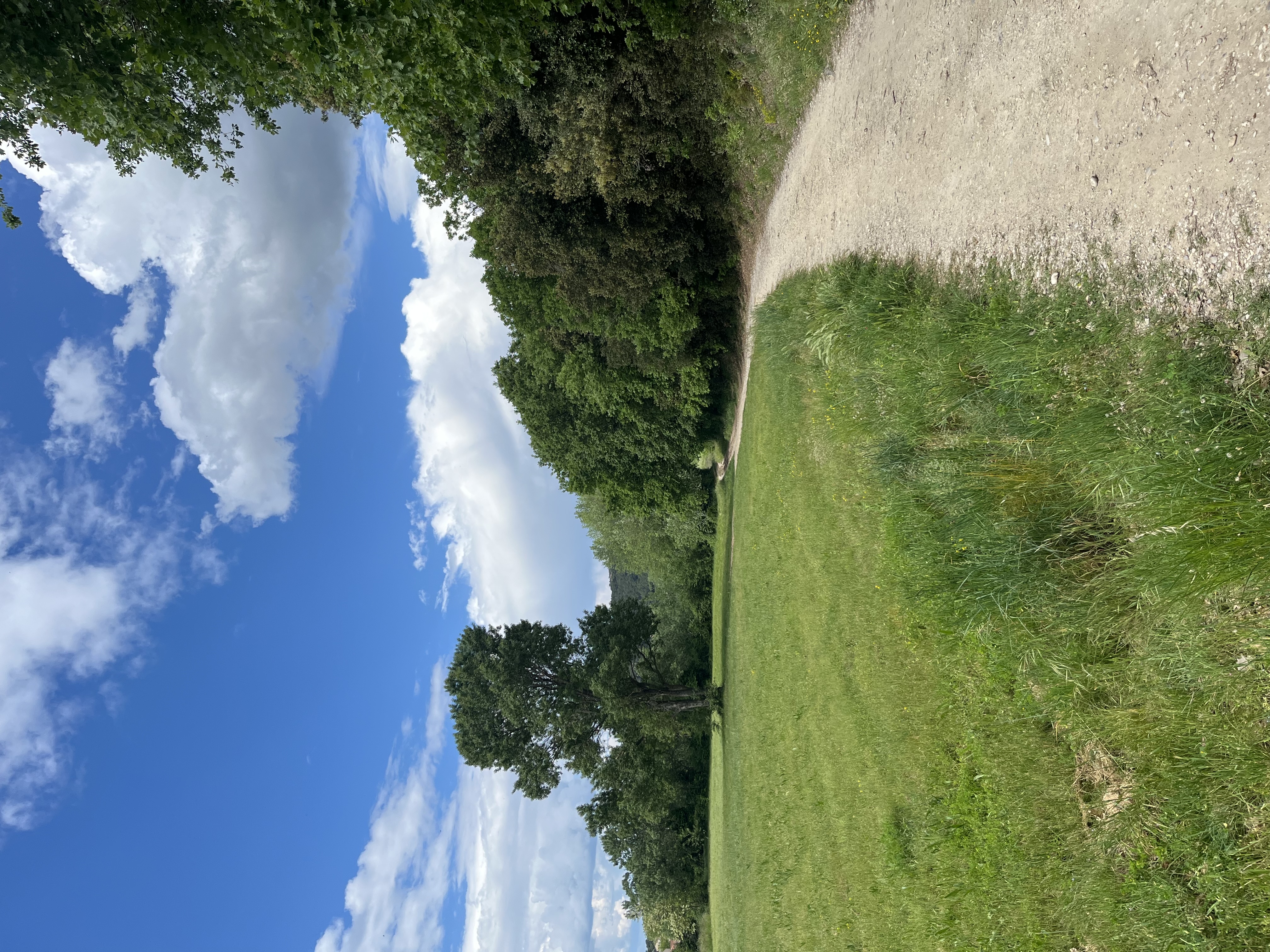 Terrains viabilisés à Bollène – Projet maison sur mesure